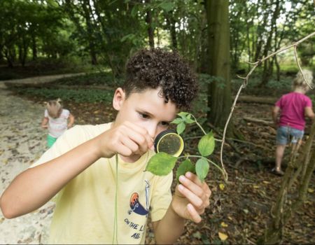 festival het groene geheim - Picknickplaats