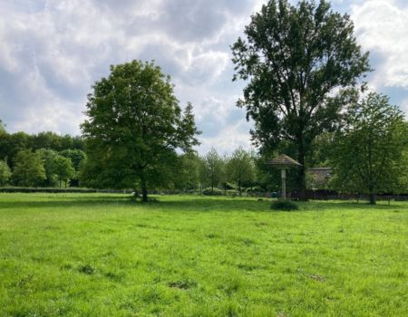 festival het groene geheim - Schapenweide