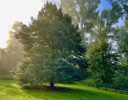 festival het groene geheim - Lindeveld